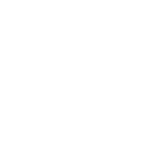 Schlei Schmiede Schleswig